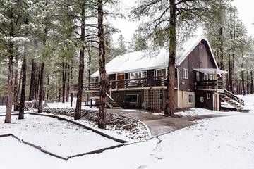 Log Cabin for 12 Guests in Coconino National Forest, Coconino County, Picture 3