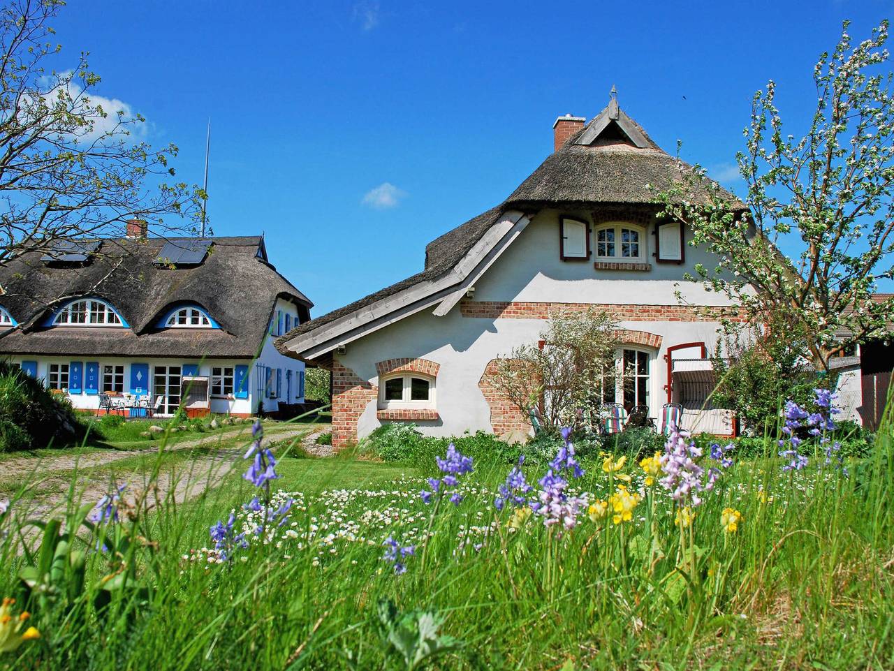 Ferienhaus Sonnenwinkel unterm Reetdach mit Sauna und Kamin in Altensien, Sellin