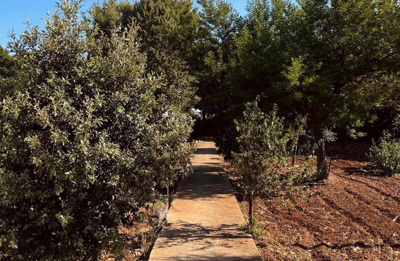Double Room with Private Bathroom in Polignano a Mare, Provincia di Bari