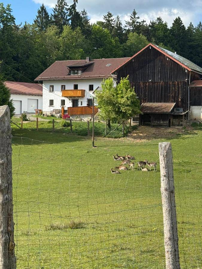 Ferienwohnung für 4 Personen, mit Terrasse und Garten sowie Ausblick in Chamerau