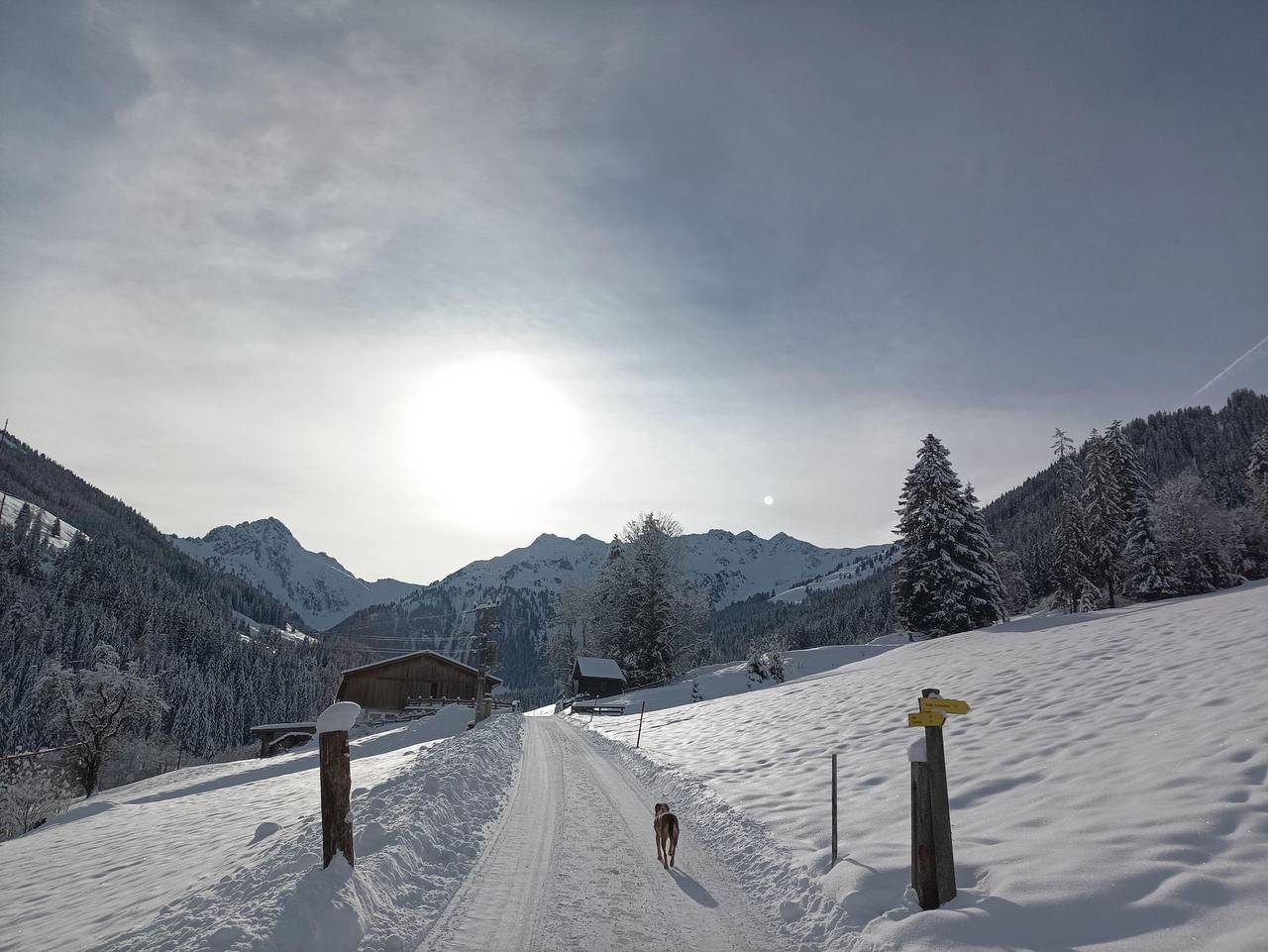 Ganze Ferienwohnung, Ferienwohnung Innergreit in Inneralpbach, Alpbach
