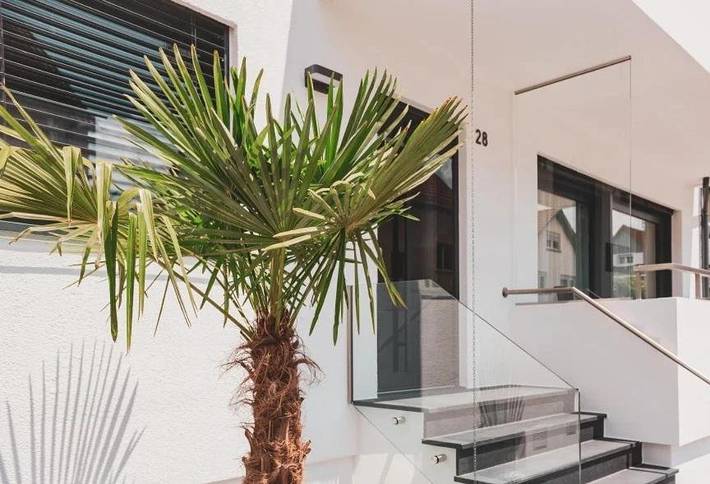 Location de vacances pour 7 personnes à Heidelberg - 2