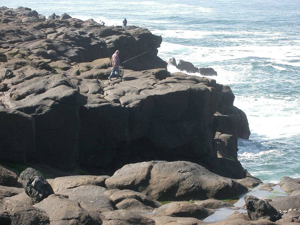 Ganze Wohnung, Whale of a View, keine zusätzlichen Gebühren, Stadtzentrum, überdachte Terrasse, Kamin, Wifi, Pc. in Depoe Bay, Lincoln County (OR)