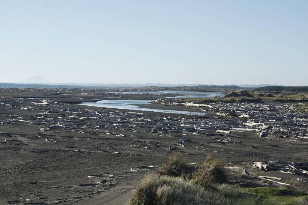 Komfortable Beach-Front Haus in Manawatu-Wanganui