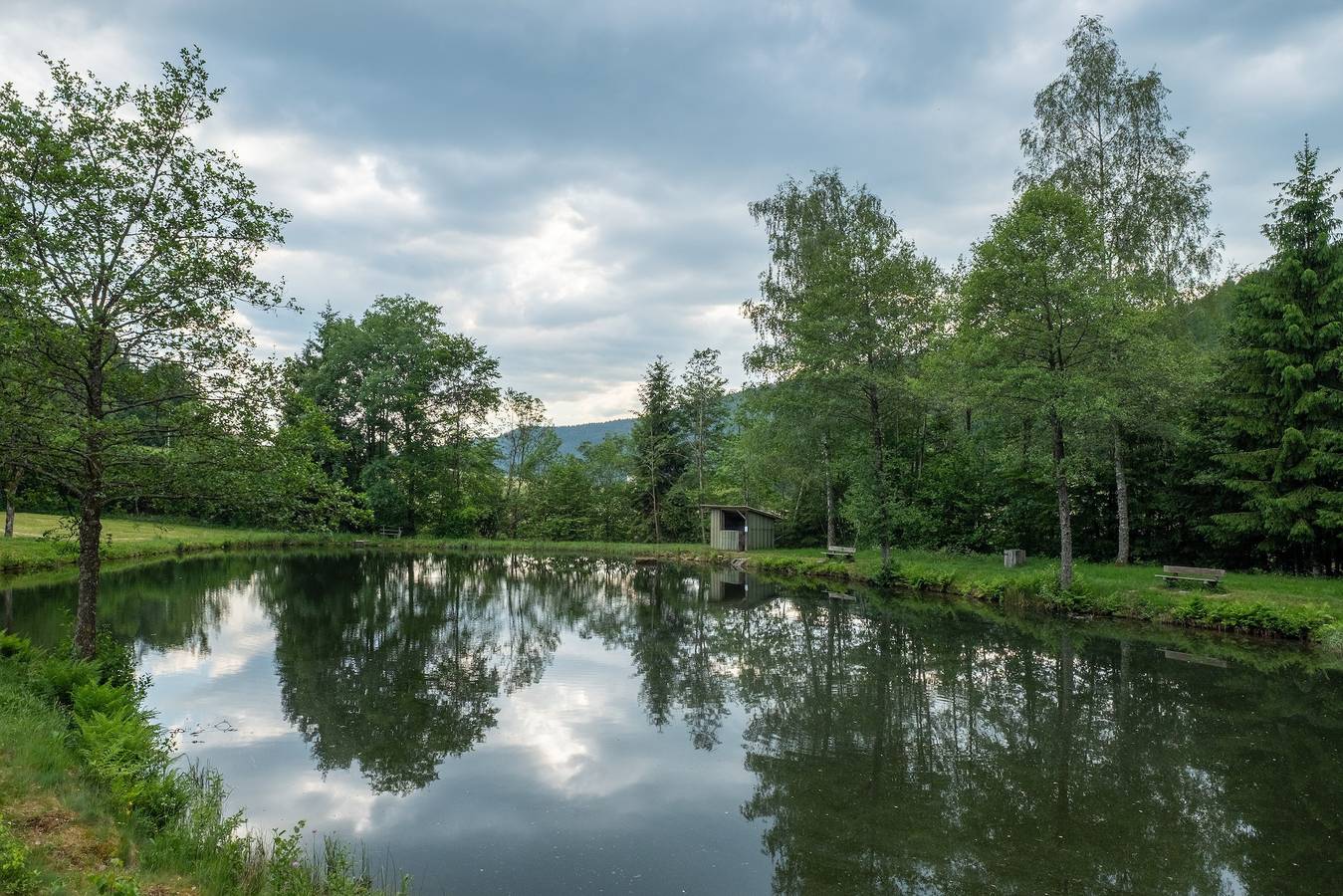 Chalet des Charbonneux, avec terrasse privée in Le Ménil, Parc naturel régional des Ballons des Vosges