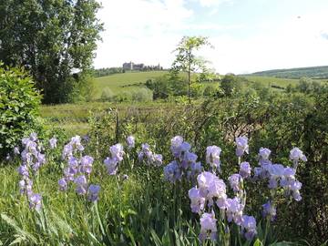 Cottage pour 4 personnes, avec jardin à Vandenesse-en-Auxois