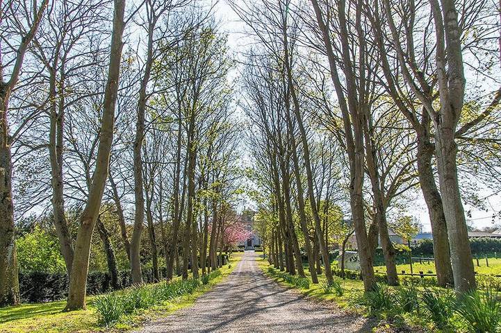 Gîte pour 4 personnes, avec jardin à Ryes