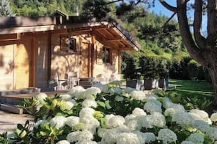 Chalet für 8 Personen, mit Haustier - 1