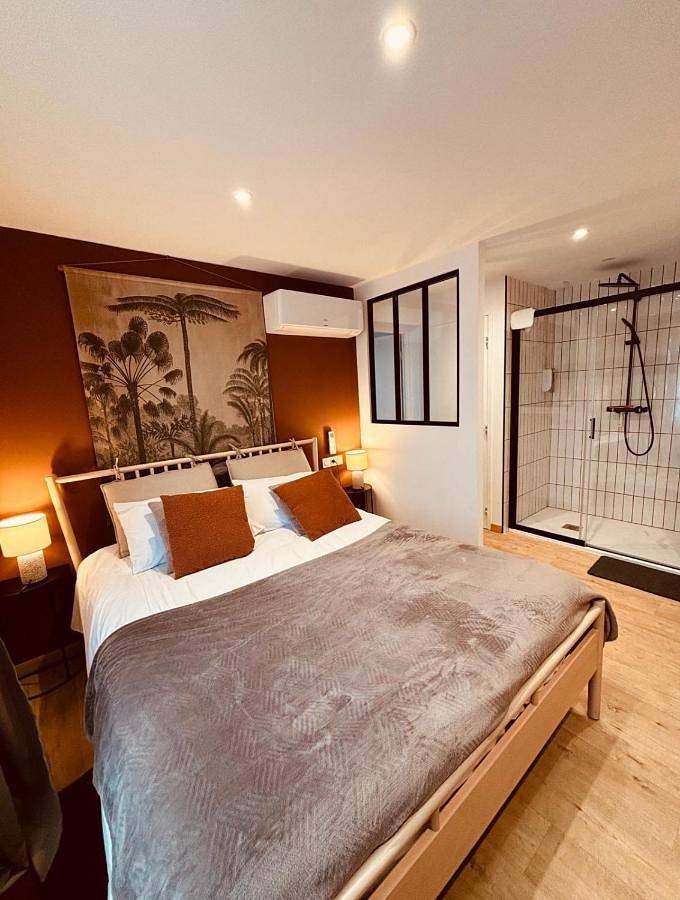 Chambre d’hôte pour 4 personnes, avec terrasse à Amboise - 2