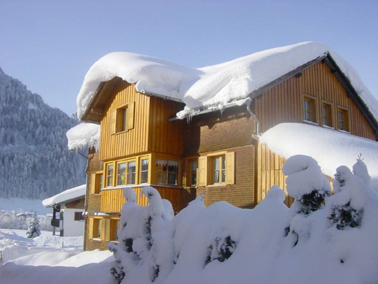 Ganze Ferienwohnung, Urlaub bei Moses - Ferienwohnung in Schoppernau, Bregenzerwald