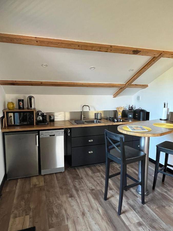 Gîte pour 3 personnes, avec terrasse et jardin à La Roque-Gageac - 3