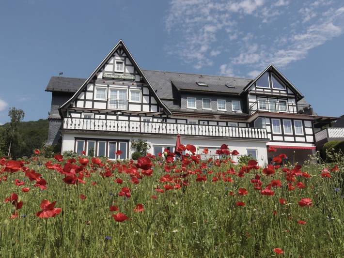 Geheel appartement, Vakantieappartement 'Mühlenteich' met balkon, gemeenschappelijke tuin en wifi in Schmallenberg, Hochsauerlandkreis