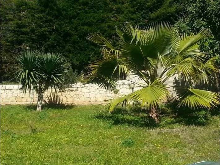 Gîte pour 4 personnes, avec piscine et jardin à Cava d'Aliga - 2