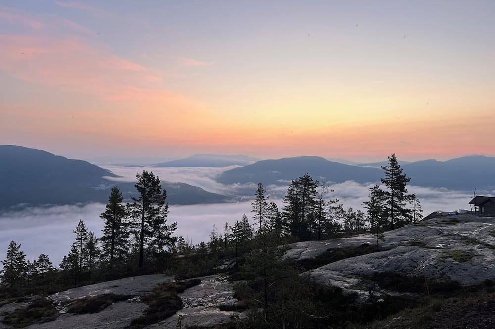 Skylark in Vrådal, Kviteseid