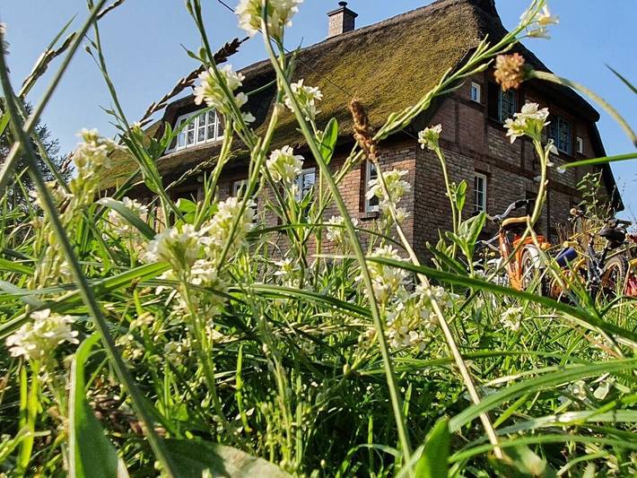 Ferienhaus für 4 Personen, mit Garten, mit Haustier in Zirkow
