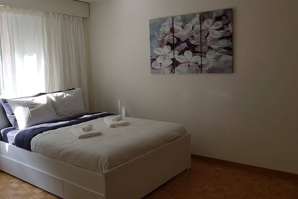 Ganze Wohnung, Budgetfreundliches Studio Typ Wohnung im Zentrum von Luzern in Luzern, Vierwaldstättersee