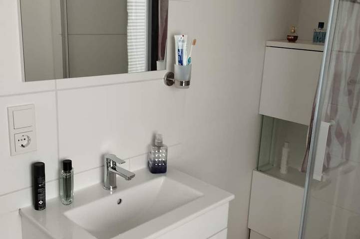 Ganze Wohnung, Ferien/ Monteur Wohnung Nikki in Argenthal, Nahetal