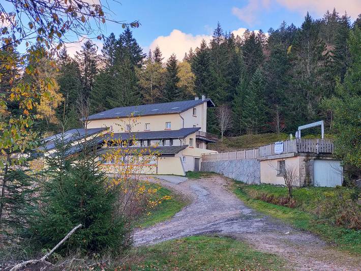 Ferienhaus für 50 Personen, mit Garten, mit Haustier in La Bresse - 3