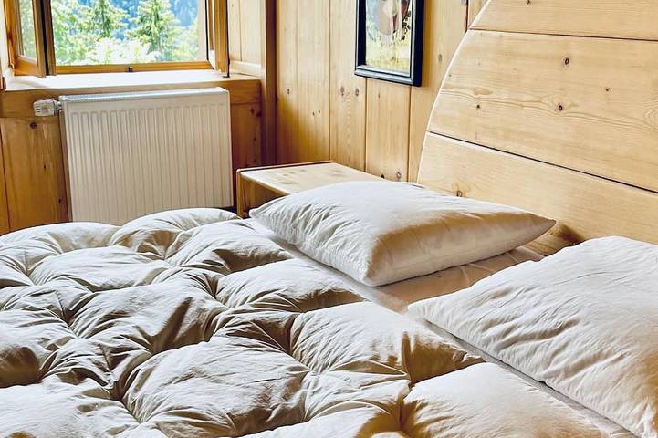 ✨Chalet Avec Une Vue Cinématographique in Ormont-Dessus (Les Diablerets), Alpes Vaudoises