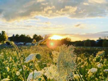 Ferienwohnung für 5 Personen in Göhren-Lebbin, Mecklenburgische Seenplatte, Bild 4