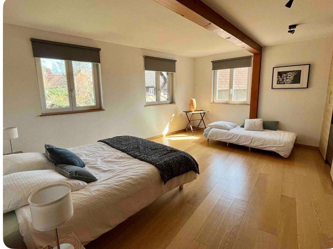 Appartement entier, Les Figuiers in Gougenheim, Région de Strasbourg