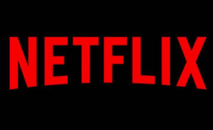 Gîte pour 14 personnes, avec jardin, animaux acceptés à Tonnay-Charente - 4