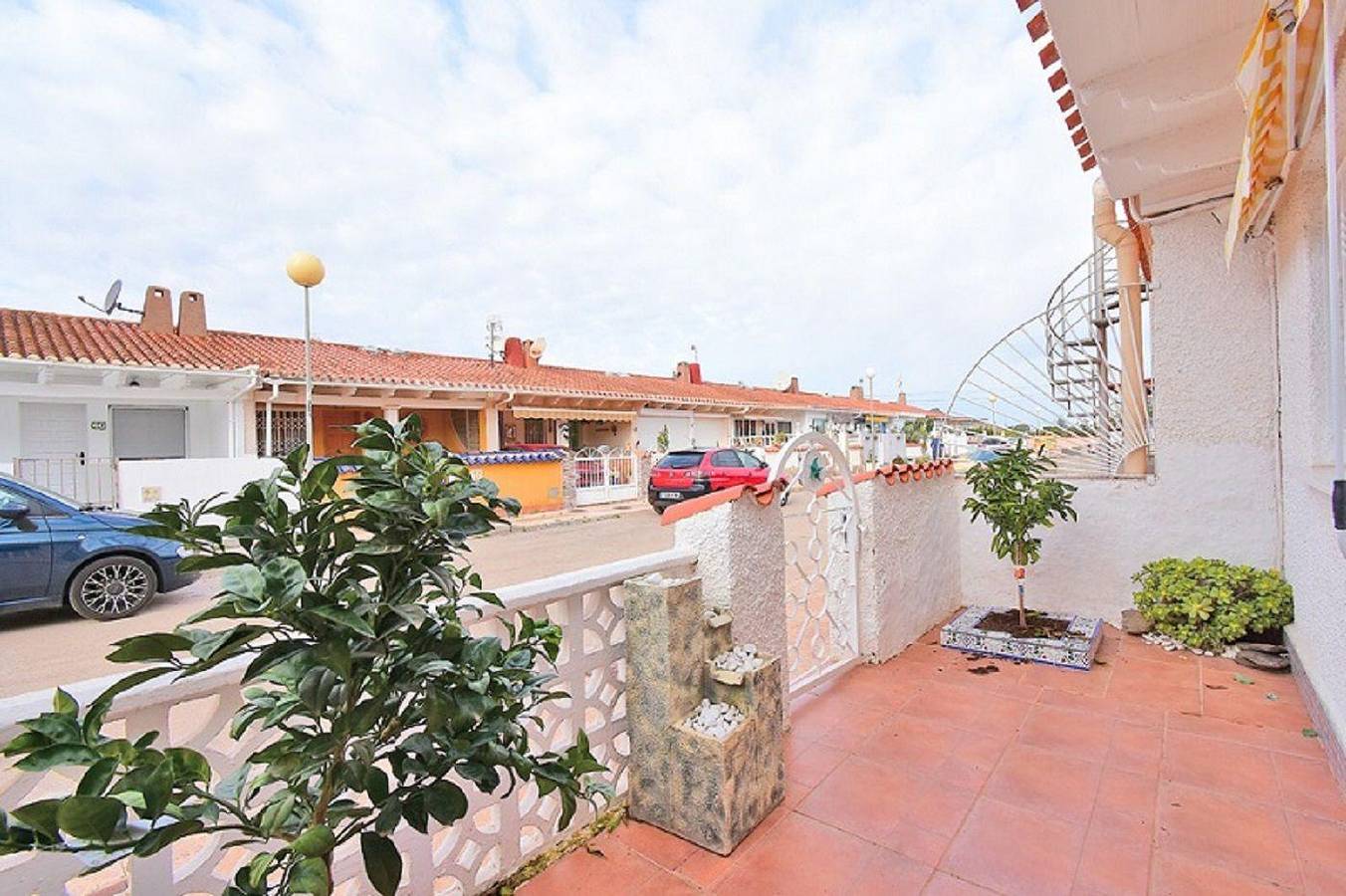 Palm tree 69 in Mar Menor, Costa Cálida