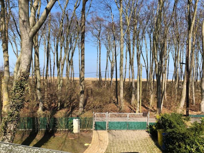 Ferienhaus für 6 Personen, mit Sauna und Garten, kinderfreundlich in Graal-Müritz - 4