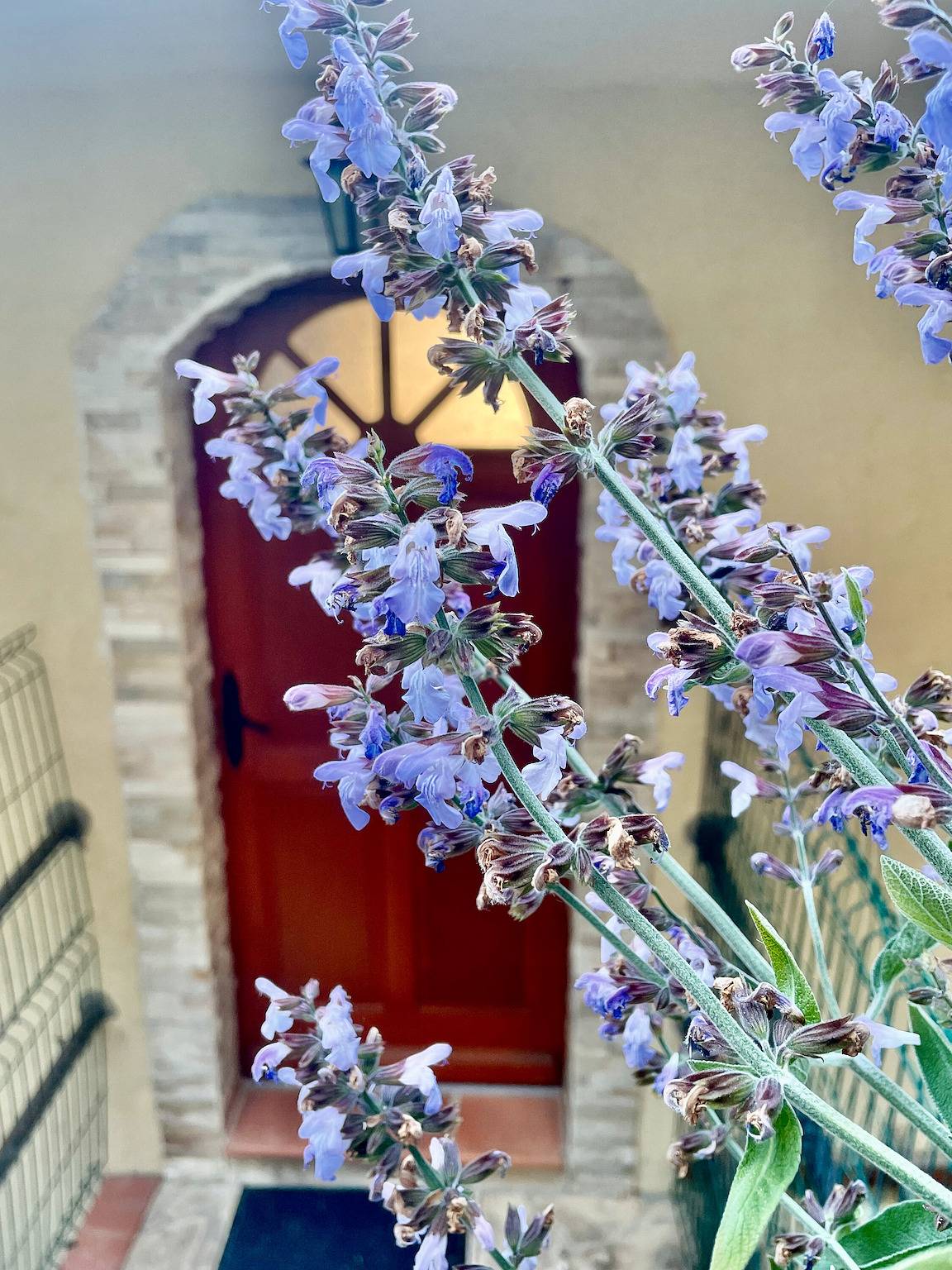Wonderful Holiday Home Maison Azurélienne in Menton, Région de Nice