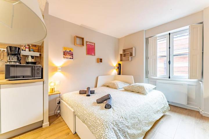 Gîte pour 2 personnes, avec vue, animaux acceptés dans Office De Tourisme De Toulouse - 3