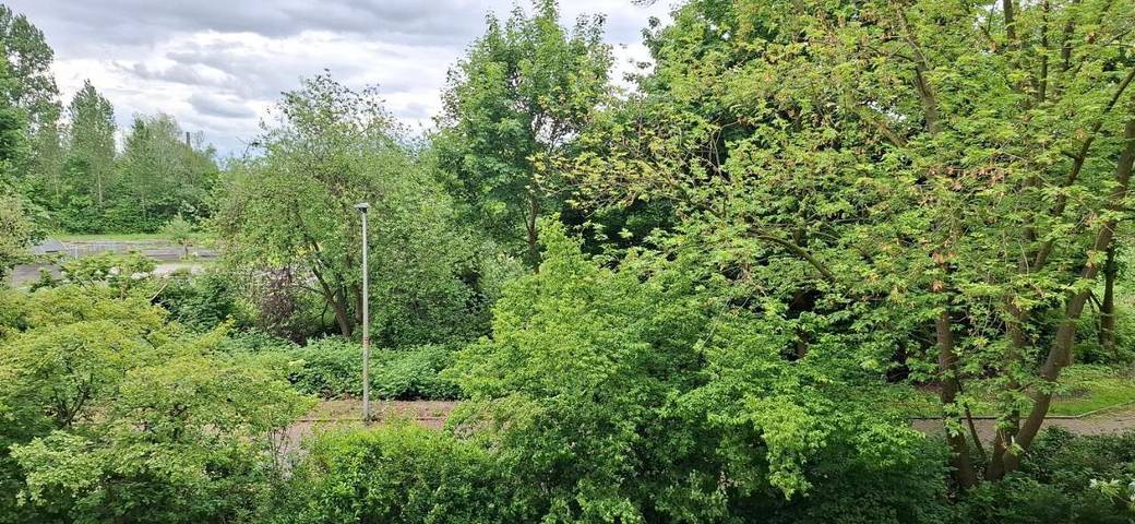 Ferienwohnung für 6 Personen, mit Balkon und Ausblick in Hamm - 2