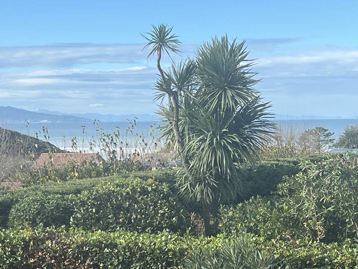 Gîte pour 2 personnes, avec jardin dans Plage La Milady