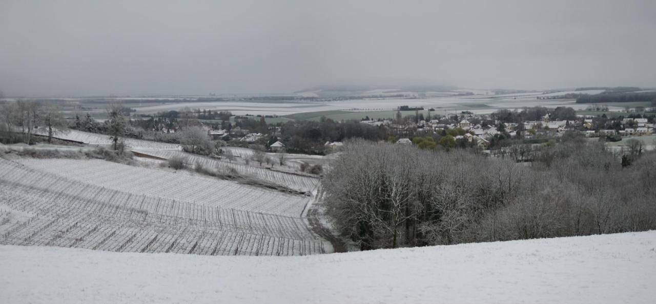Domaine des Grattières in Hermonville, Marne