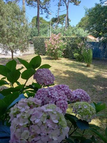 Vakantiehuis voor 6 Personen in Mimizan, Côte d’Argent, Afbeelding 1