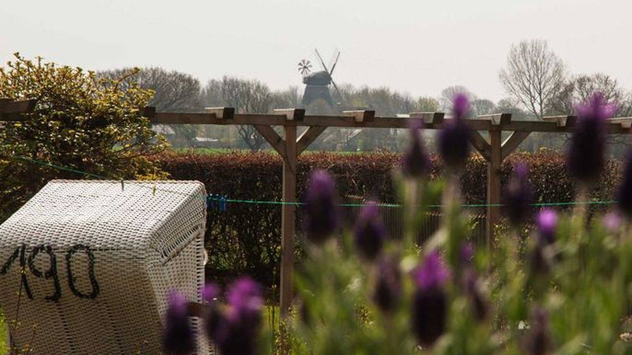 Ganze Ferienwohnung, Ferienwohnung für 3 Personen (45 m²) in Pommerby (Geltinger Bucht) in Geltinger Birk, Pommerby