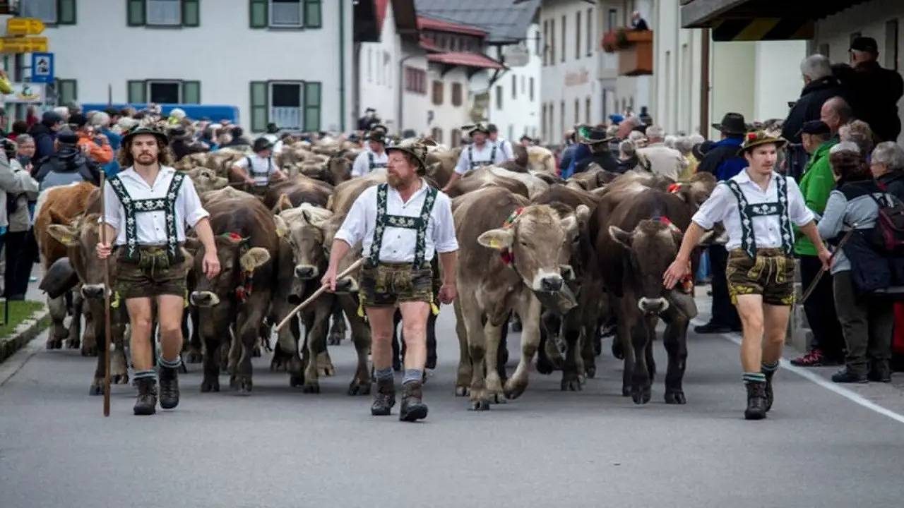 Ferienhaus für 2 Personen (51 m²) in Wertach in Wertach, Bayerisch Schwaben