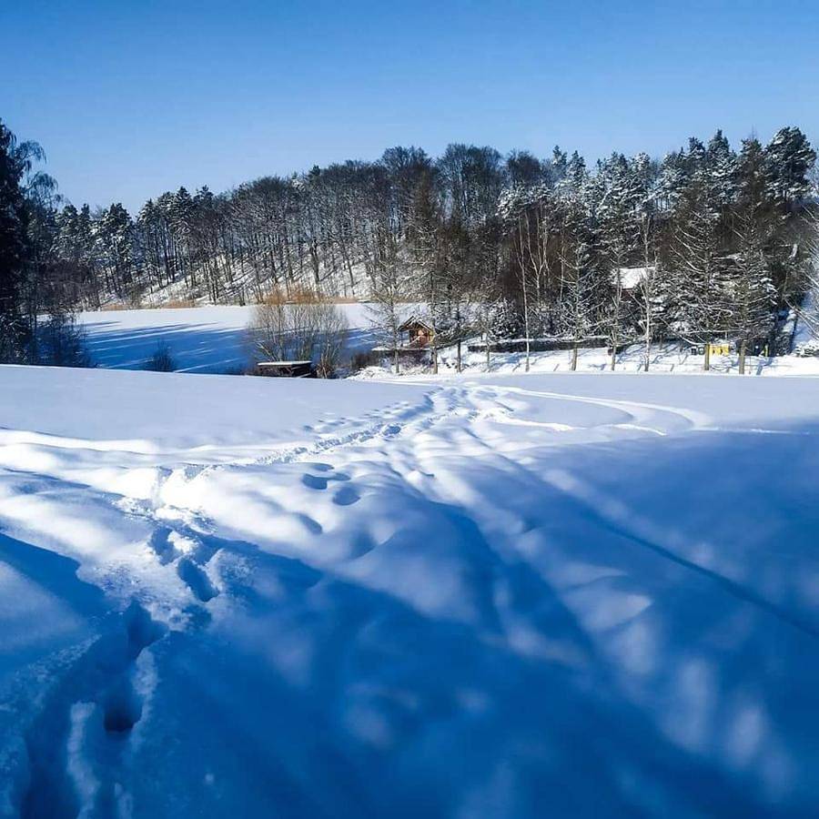 Agrowczasy u Bartka in Bory Tucholskie
