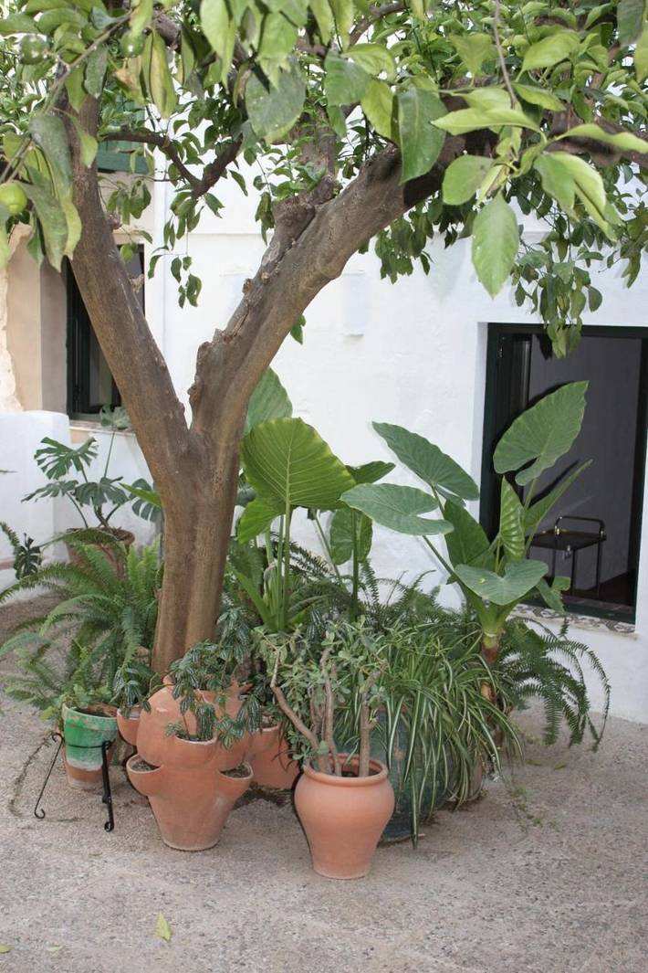 Casa rural para 9 personas, con Balcón además de Terraza y Jardín en Higuera de la Sierra