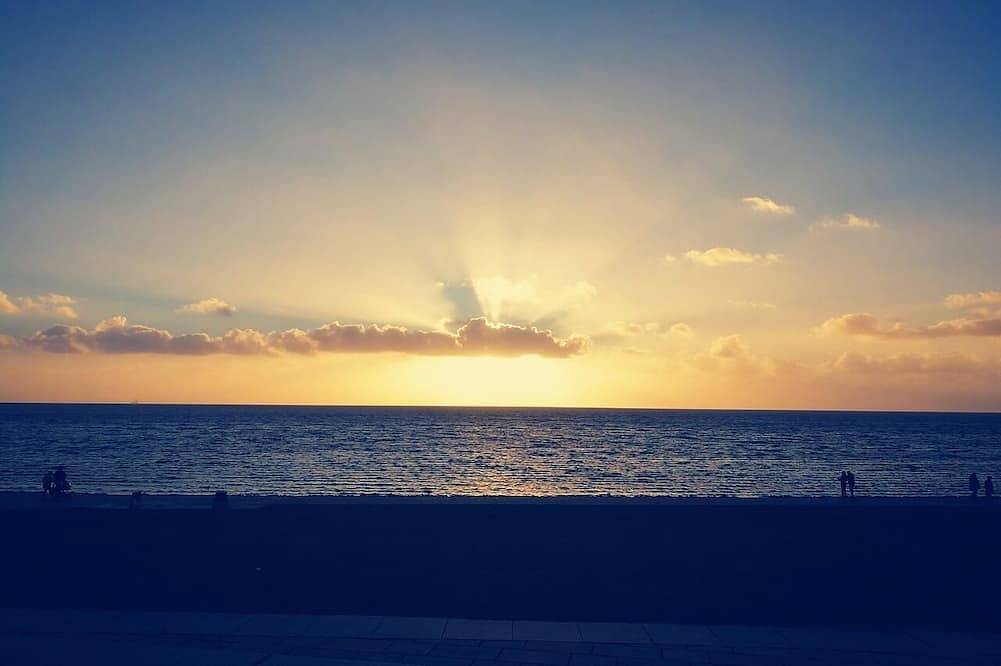 Ganze Wohnung, Idyllisch gelegenes Studio inmitten von Feldern und Wiesen in Schülp, Eider-Treene-Sorge