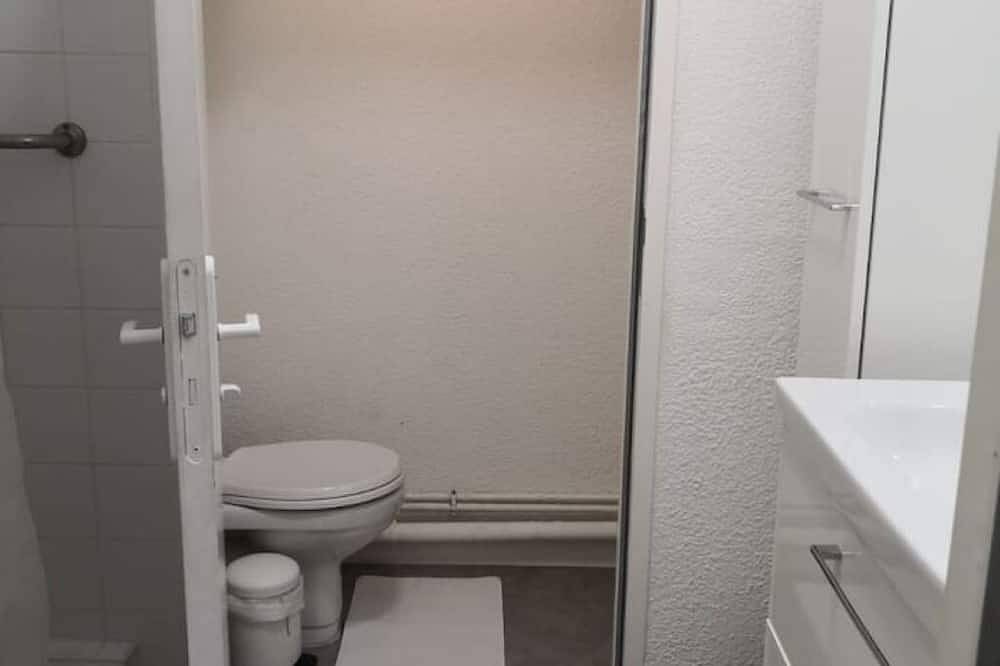 Garden-facing studio in Grenoble's lower town center in Grenoble, Isère