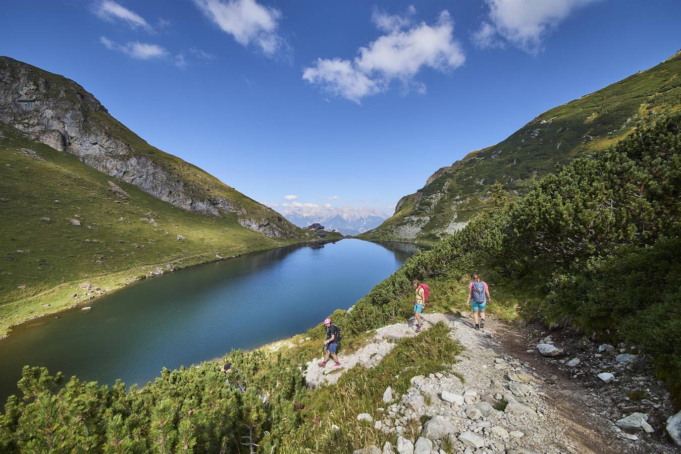 Ganze Ferienwohnung, "Top 1" - 2-Raum Appartement in Fieberbrunn, Bezirk Kitzbühel
