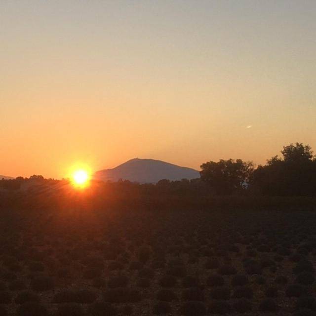Chambre d’hôte pour 2 personnes, avec piscine ainsi que jardin et vue à Bollène - 4