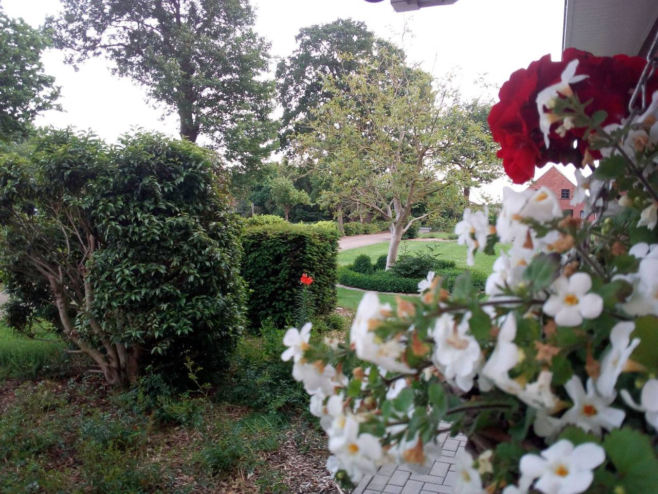 Ganze Wohnung, Fewo Schlingshöhe in Friesoythe, Nordseeküste