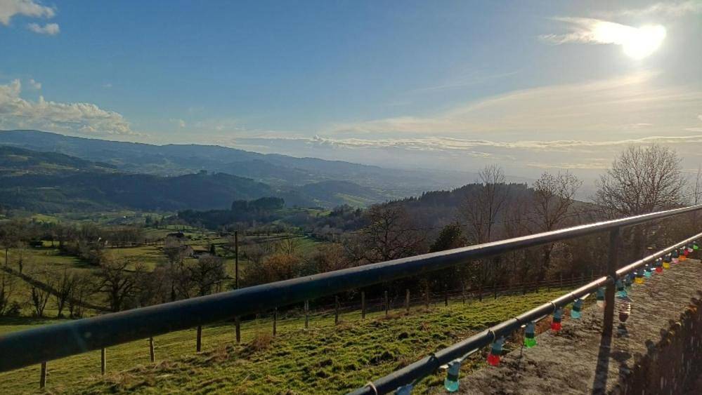 Grand Chêne in Saint-Racho, Région de Charolles