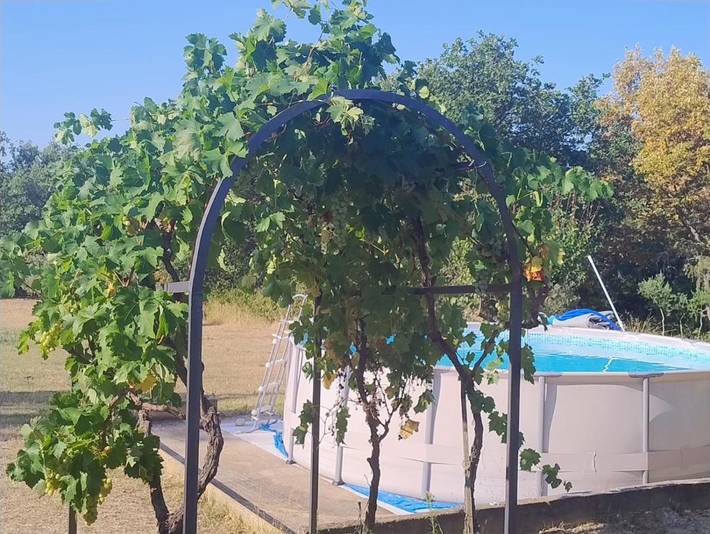 Location de vacances pour 6 personnes, avec piscine ainsi que terrasse et vue à Rians - 2