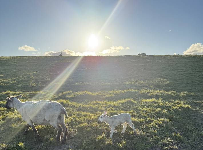 Ferienwohnung für 2 Personen, mit Balkon in Horumersiel - 4
