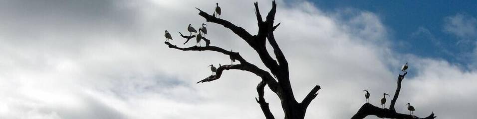 Holiday Home for 5 People in Mallacoota, Shire of East Gippsland, Photo 3