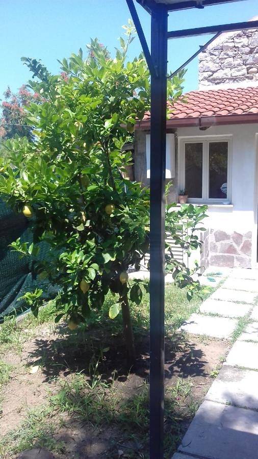 Double Room with Private Bathroom in Palinuro, Centola