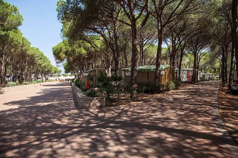 Baia Comfort 4 personnes in Lu Lamoni, Vignola Mare