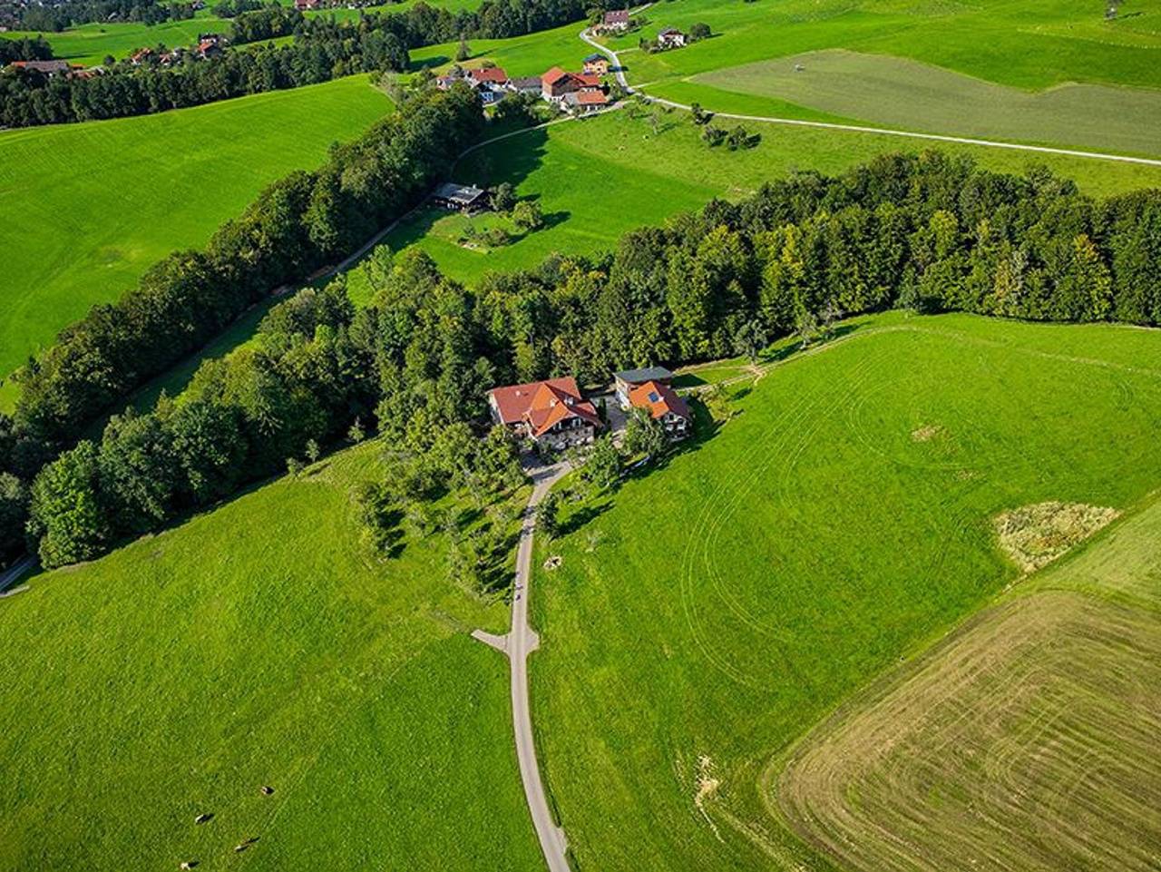 Bio Bauernhof Mondsee Schafleitner-Kroiß - Dachsteinblick in Traunviertel